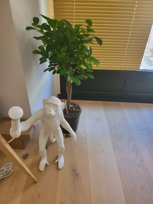 וישי Appartement Luxe "La Providence" , Plein Centre מראה חיצוני תמונה